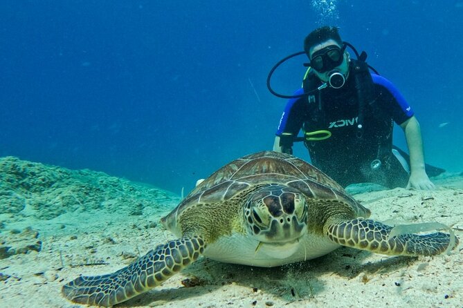 Protaras: Discover Scuba Diving For Beginners 2 Dives - Key Things I’d Watch For