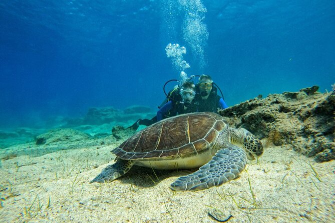 Protaras: Discover Scuba Diving For Beginners 2 Dives - Getting to Aquanaut in Protaras, Without Stress