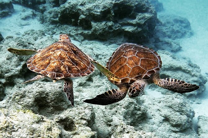 Protaras: Discover Scuba Diving For Beginners 2 Dives - Group Size and the Instructor Support Factor