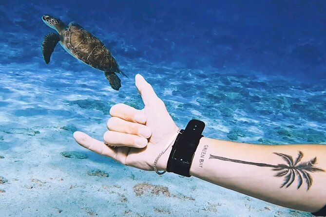 Protaras: Discover Scuba Diving For Beginners 2 Dives - Price and Value: What You Are Really Paying For