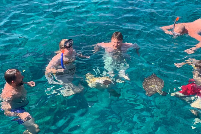 Protaras: St Georgios Presidential Cruise BBQ & 1 drink. 16+ - Snorkeling Gear, Clear Water, and How to Make Turtle Time Work