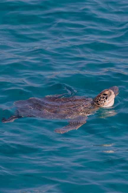 Protaras: Turtle Cove & Blue Lagoon Sunset Cruise - The water break that matches the Turtle Cove promise