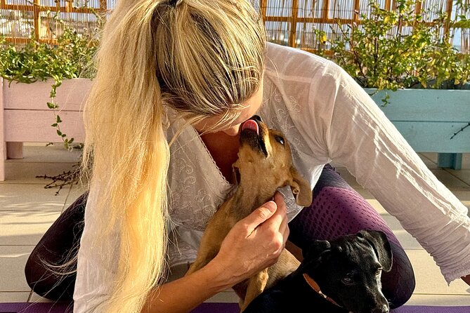 Puppy Yoga in einer Meerblick-Villa bei Paphos (Kleingruppe) - Outdoor Garden Pergola or Indoor Studio: How Weather Changes the Feel