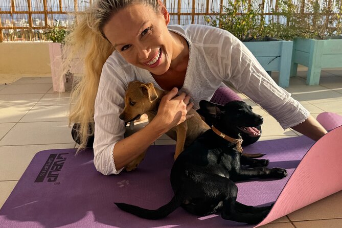 Puppy Yoga in einer Meerblick-Villa bei Paphos (Kleingruppe) - Price and Value: Why 42.33 USD Feels Reasonable for What You Get