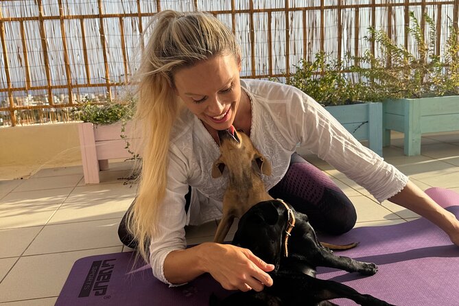 Puppy Yoga in einer Meerblick-Villa bei Paphos (Kleingruppe) - Group Size and Movement: What Happens When You Are Not Practicing Alone