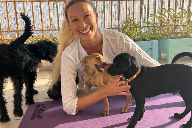 Puppy Yoga in einer Meerblick-Villa bei Paphos (Kleingruppe) - Meeting the Rescued Puppies First, Then Finding Your Rhythm