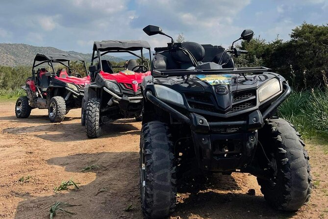 Quad or Buggy Tour from Coral Bay to Lara Bay - Peyia Meeting Point, Driver License, And What You Actually Get