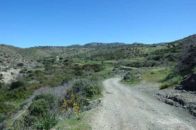 Quad or Buggy Tour from Coral Bay to Lara Bay - Edro III Shipwreck Stop: A Dramatic Story, With a Safety Boundary