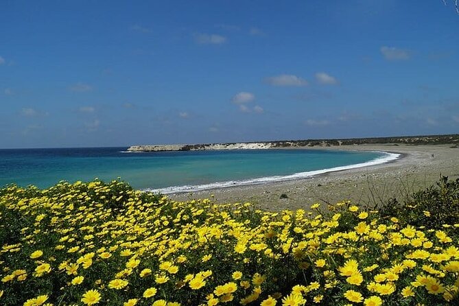 Quad or Buggy Tour from Coral Bay to Lara Bay - Lara Bay Turtle Conservation Station: The Best Reason to Book