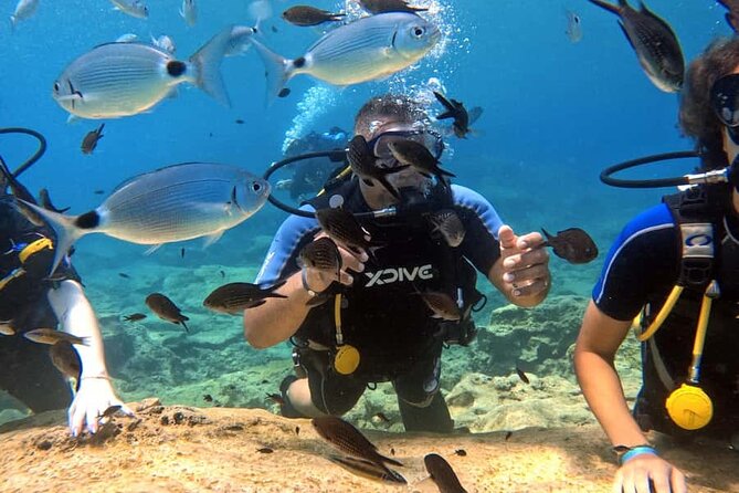 Scuba Diving Adventure at Green Bay Beach - Ancient Greek statues and the photo-and-video pickup at the center