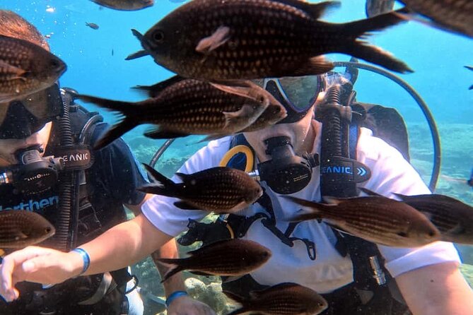Scuba Diving Adventure at Green Bay Beach - Will and Maria: the small-group feel and why it helps first-timers