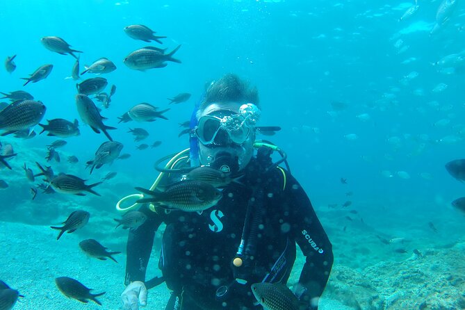 Scuba Diving Cyprus Experience Protaras and Ayia Napa & Turtles - The Main Underwater Portion: 40 Minutes to 5 Meters