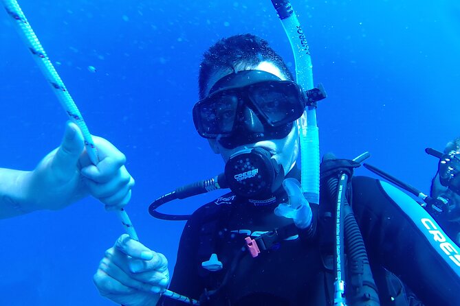 Scuba Diving Cyprus Experience Protaras and Ayia Napa & Turtles - Price and What Makes This Good Value at $101.85