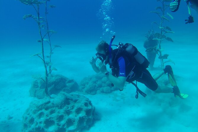 Scuba Diving Cyprus Experience Protaras and Ayia Napa & Turtles - Timing, Pickup, and Group Reality (So You’re Not Surprised)