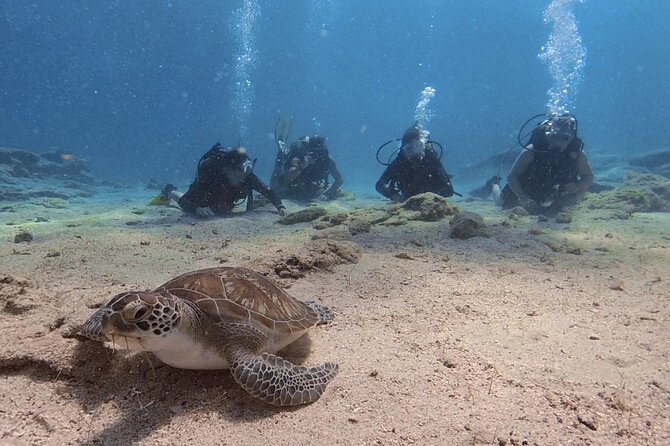 Scuba Diving Experience (10+ Years) AND Free Edited Video - What happens during the 3 hours: your first underwater breaths, step-by-step