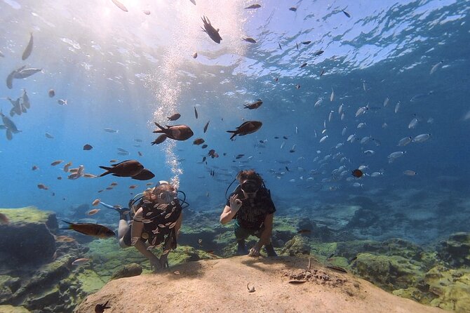 Scuba Diving Experience (10+ Years) AND Free Edited Video - Equipment, mask issues, and staying comfortable