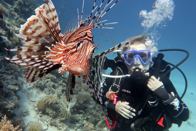 Scuba Diving Experience & MUSAN Dive + Free Edited Video 2xdives - Who This Is Best For (and Who Should Rethink)