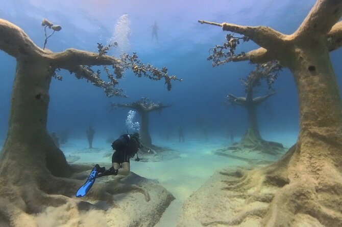 Scuba Diving Experience & MUSAN Dive + Free Edited Video 2xdives - MUSAN at Ayia Napa: What Makes the Museum Stop Special