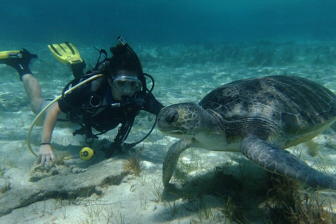 SCUBA DIVING first time experience - Key things that make this course worth your time