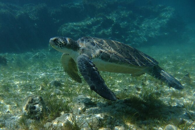 SCUBA DIVING first time experience - Gear and equipment: what’s included, and what you should still check