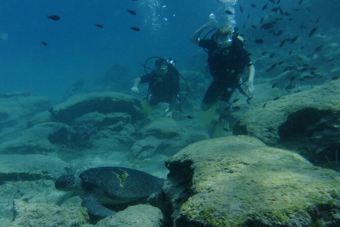 SCUBA DIVING first time experience - Tea, coffee, and post-session perks: what to expect realistically