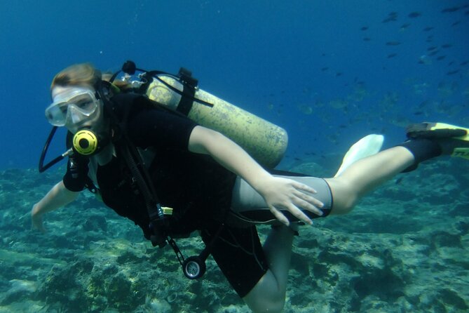 SCUBA DIVING first time experience - Why this 3-hour plan is such good value for beginners