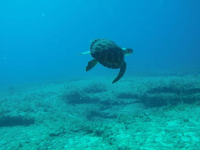 Scuba Diving - Tunnels & Caves - Cape Greco - private guided - Price and Value: Why $163 Makes Sense Here