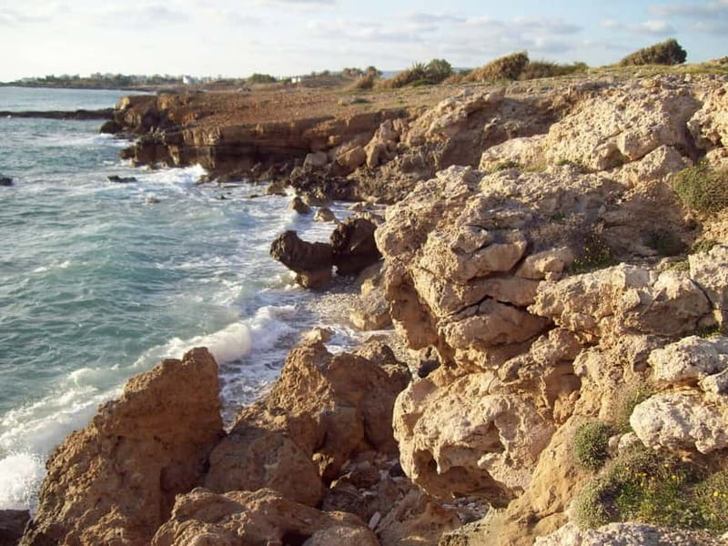 Sea Star Blue Lagoon Round Trip Cruise from Paphos - Key things worth knowing before you go