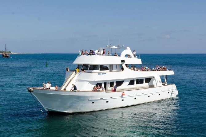 Sea Star Coral Express Cruise from Paphos - Key things to know before you go