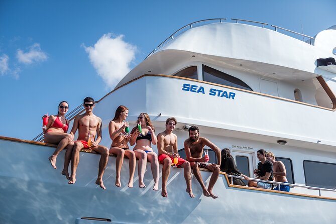 Sea Star | Half Day Cruise - Key Highlights Worth Noting
