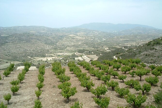 Shared Monolithos Boutique Winery Tour - Meeting at Monolithos Boutique Winery in Ayiasmata, Pachna
