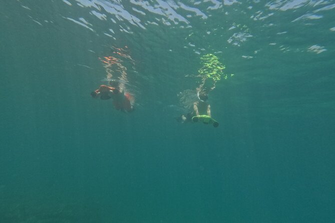 snorkeling ,Turtle Watching in Cyprus - Price and Value: Is $72.59 Worth It?