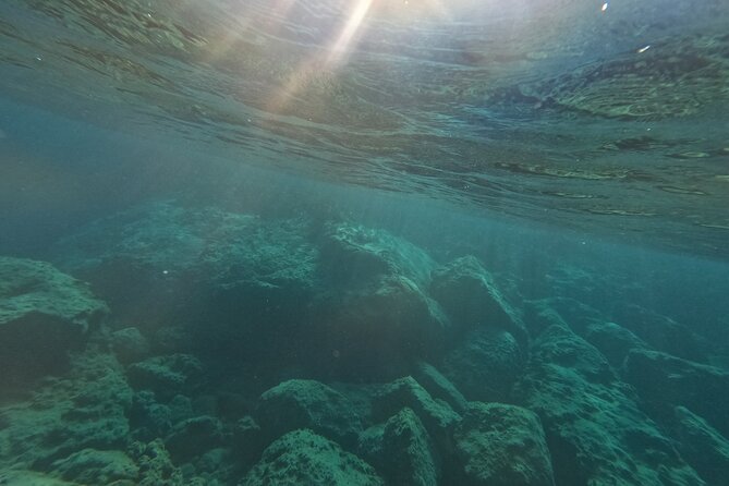 snorkeling ,Turtle Watching in Cyprus - Weather, Timing, and Seasonal Reality