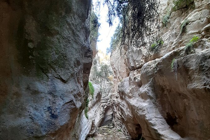 Stelios Jeep Safari - Stelios Jeep Safari in Akamas: what the full day is really like