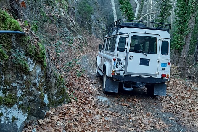 Stelios Jeep Safari - Plant walks in Akamas: orchids, endemic flowers, and real learning
