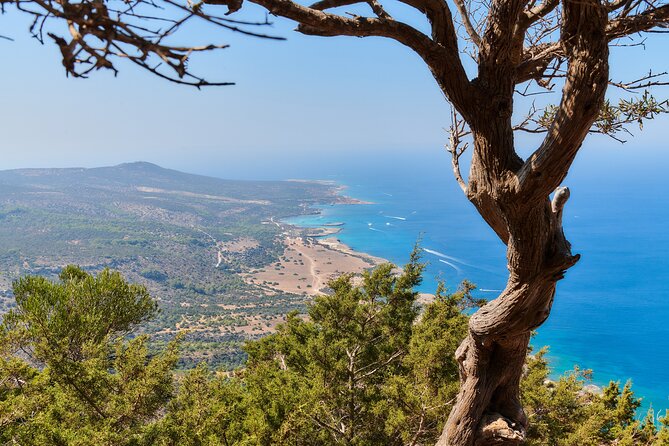 Surf and Turf Full Day Jeep & Boat Combination Tour from Limassol - Stop 2: Lara Beach and the Turtle Conservation Project