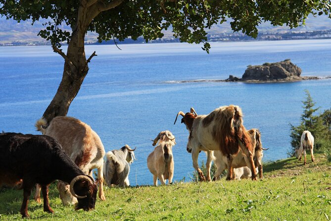 The Akamas Peninsula EcoTour Adventure - Key highlights you will feel on the day