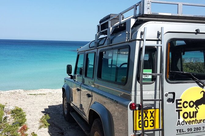 The Akamas Peninsula EcoTour Adventure - Avakas Gorge: your first big nature hit