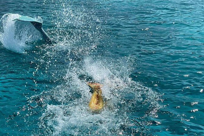 The Mermaid Cruise by Medusa Cruises – 2:30-Hour Family Adventure - FAQ