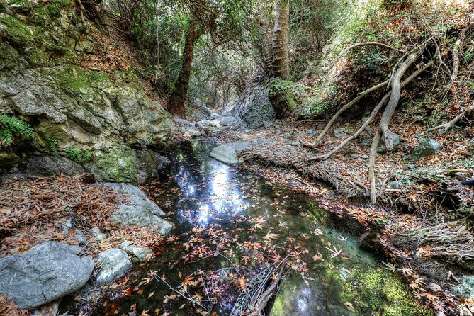 Troodos Jeep Safari from Protaras,Ayia napa & Larnaca - Chantara Waterfall: three levels, cool mist, and short viewing time