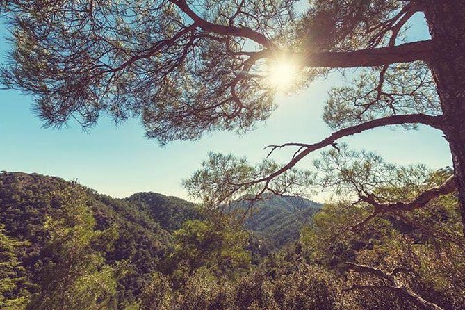 Troodos Jeep Safari from Protaras,Ayia napa & Larnaca - Guides make the day: service moments and why names keep showing up