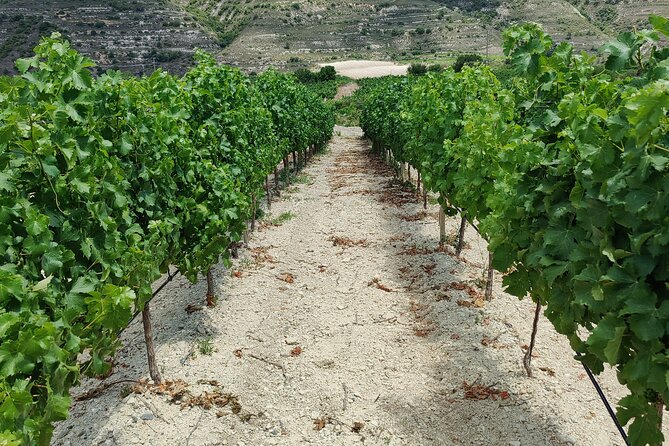 Troodos Mountains Grape Escape: All Inclusive Food & Wine Tour - Omodos village: wine press, craft time, and a meze lunch that does not skimp