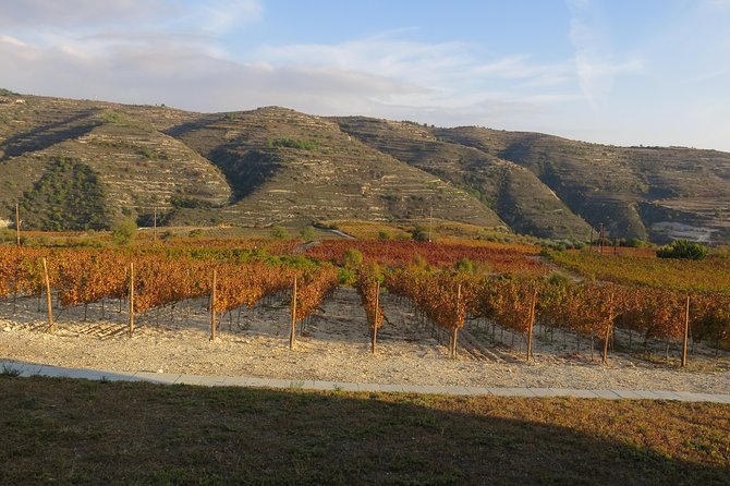 Troodos Mountains Grape Escape: All Inclusive Food & Wine Tour - The surprise bonus stop, plus why the day can shift
