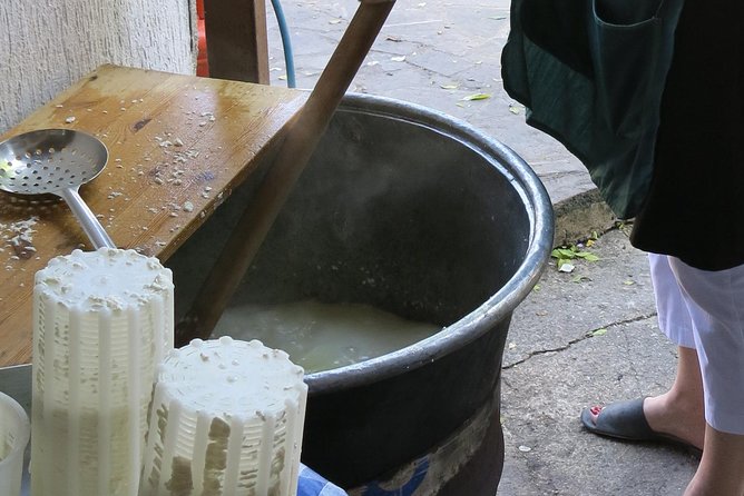 Troodos Mountains Halloumi Making: All Inclusive Workshop & Tour - Brunch included: what you eat is what you made