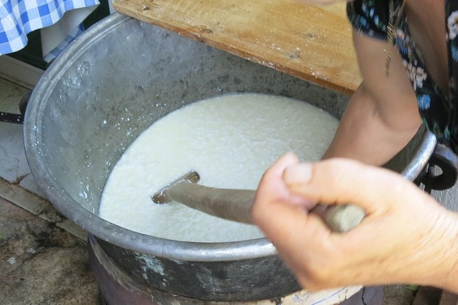 Troodos Mountains Halloumi Making: All Inclusive Workshop & Tour - Ecophysis Georgia: tastings that feel like producer visits