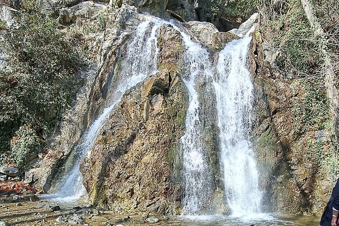 Troodos Mountains Jeep Tour with Wine Tasting - Price and logistics: where the value comes from