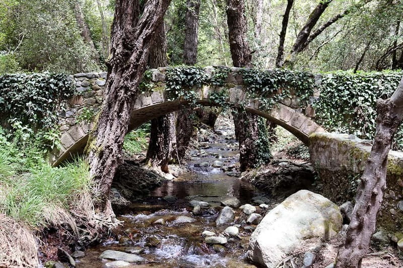 Troodos Mountains : private tour including a wine tasting - Price and logistics: is $234 per person good value?