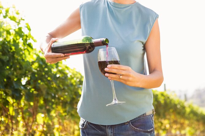 Troodos Mountains Vino Venture: All Inclusive Full Day Wine Tour - Key Highlights You’ll Actually Notice