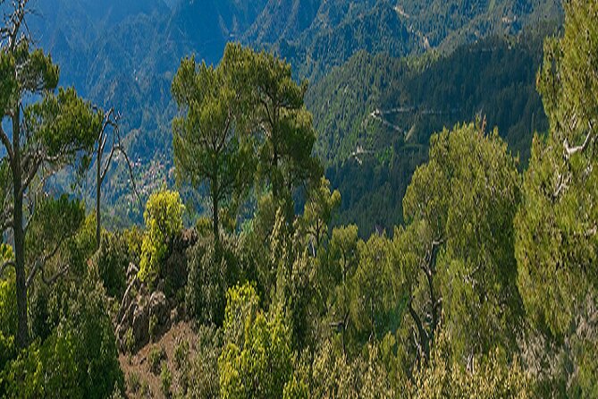 Troodos Peaks & Mountain Flavors Day Tour from Paphos - What you should pack and expect: dress rules, shoes, and travel sickness