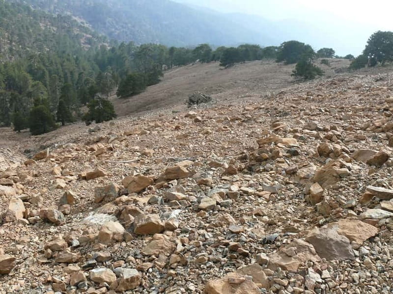 Troodos walking trip - What makes it worth your time in Cyprus